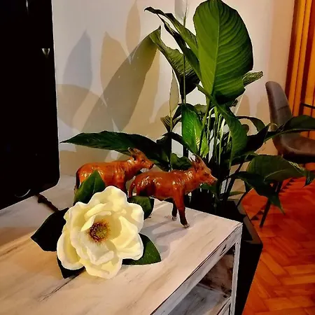 The Sunset Flat Daire