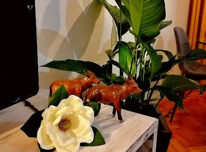 The Sunset Flat 아파트